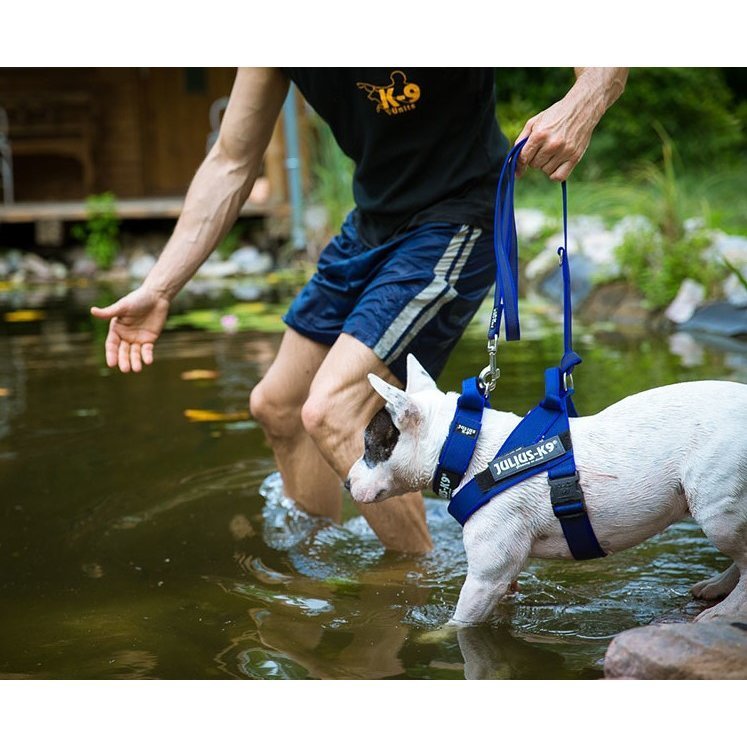 Julius K9 IDC Gurtbandgeschirr Color & Gray Bild 11