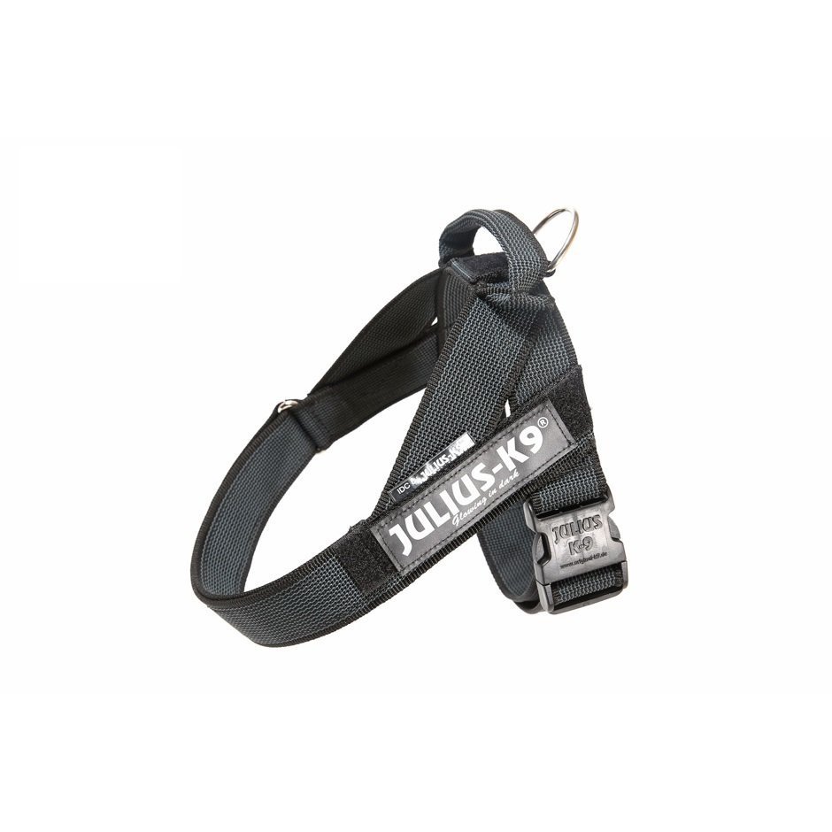 Julius K9 IDC Gurtbandgeschirr Color & Gray Bild 12