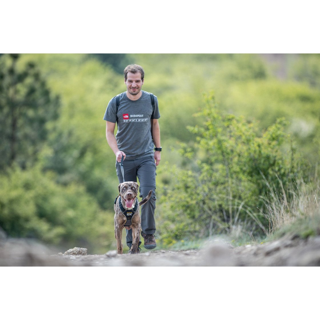 JULIUS K9 IDC® Longwalk Hundegeschirr Bild 15