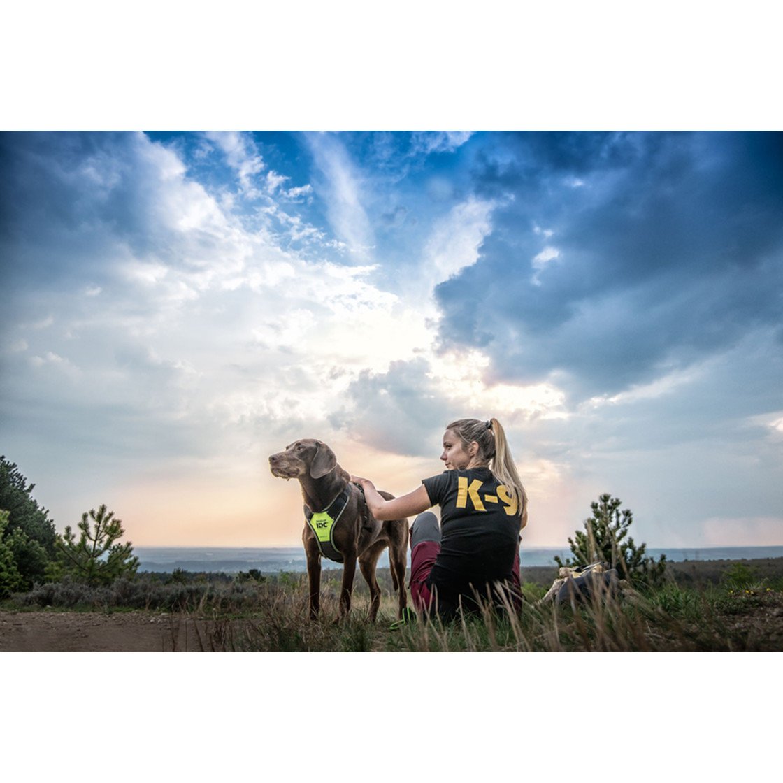 JULIUS K9 IDC® Longwalk Hundegeschirr Bild 18