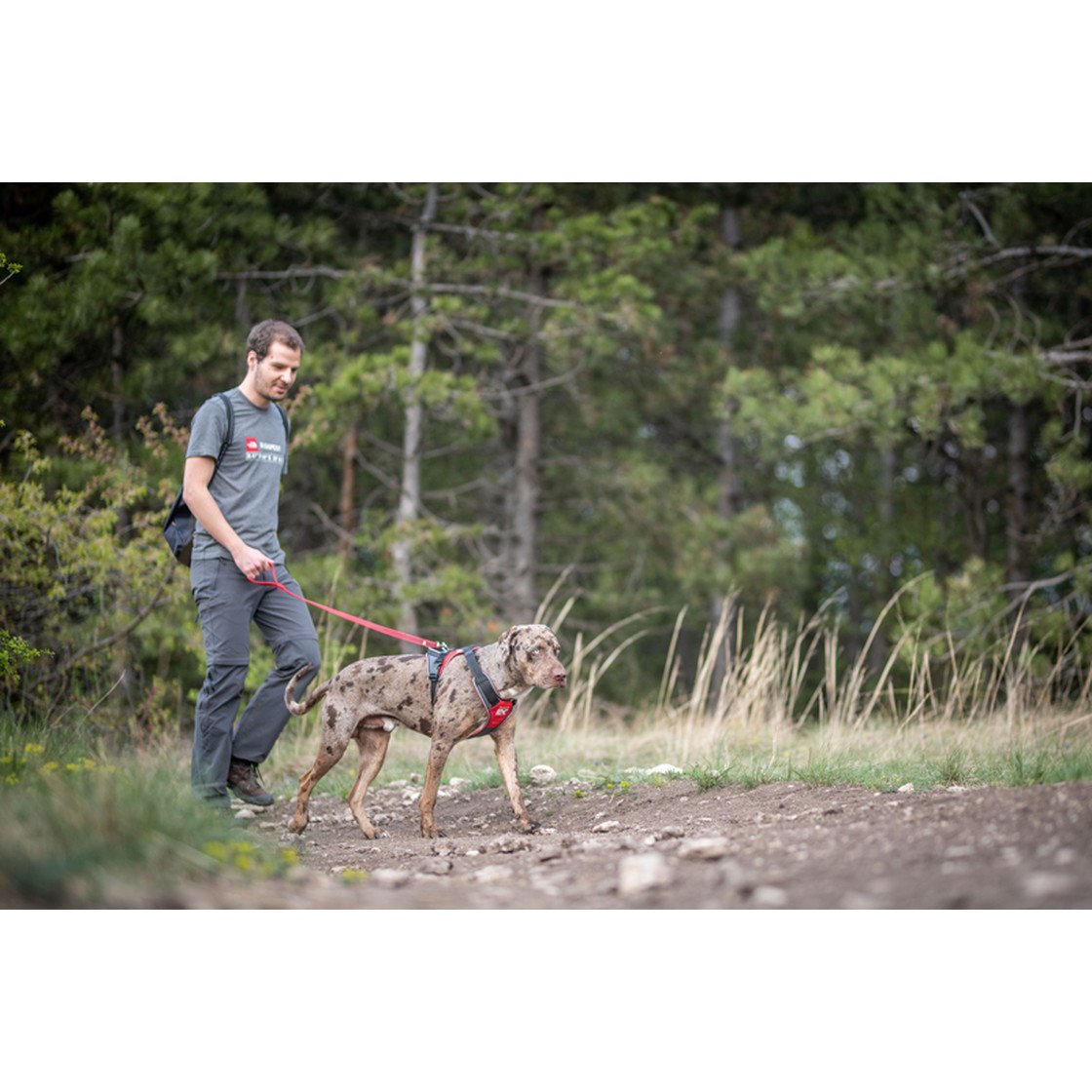 JULIUS K9 IDC® Longwalk Hundegeschirr Bild 19