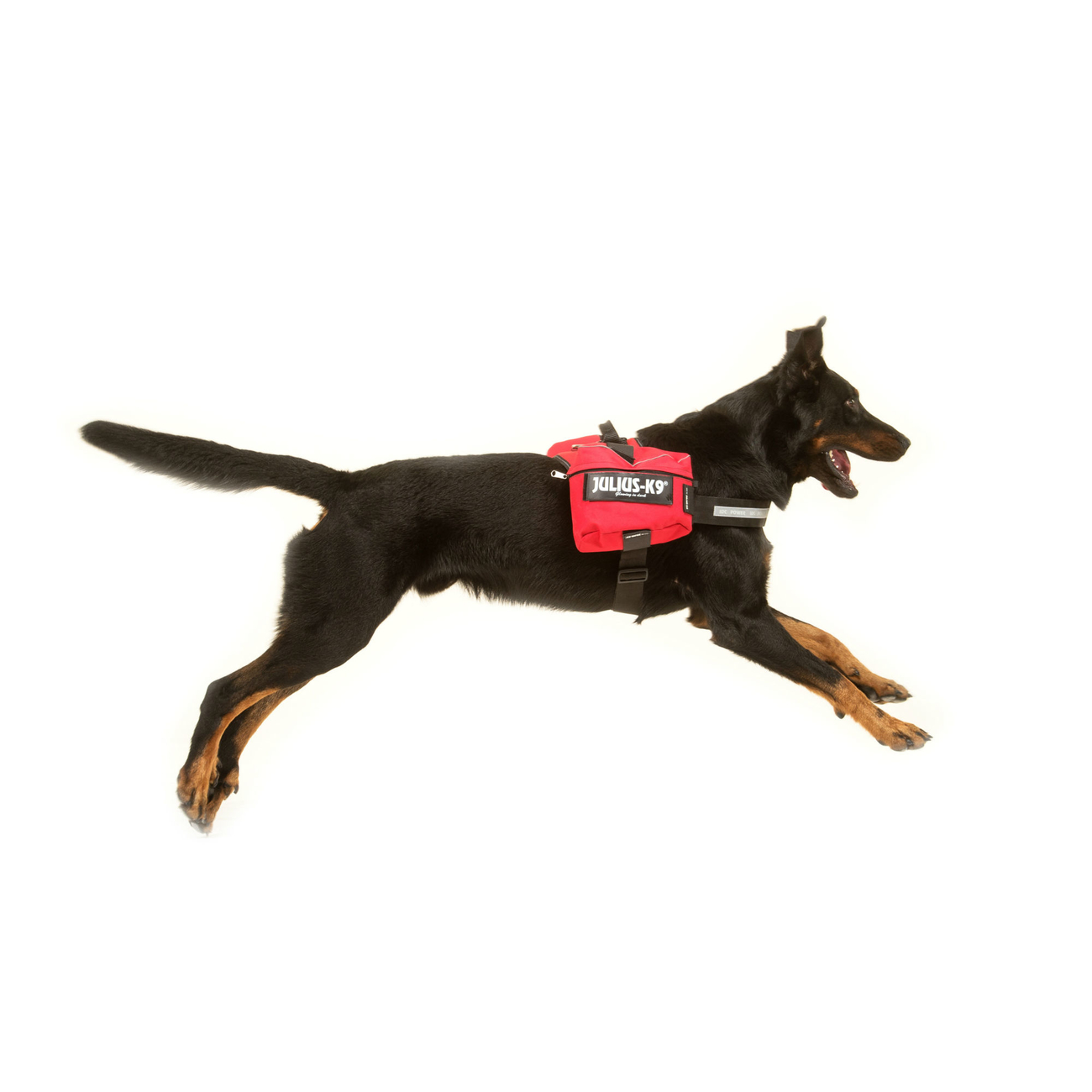 Julius K9 IDC-Seitentaschen IDC-Powergeschirr Bild 5