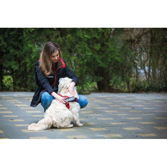 Julius K9 Logo Klettsticker groß M-Z Bild 35