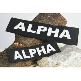 Julius K9 Logo Klettsticker klein A - F Bild 5