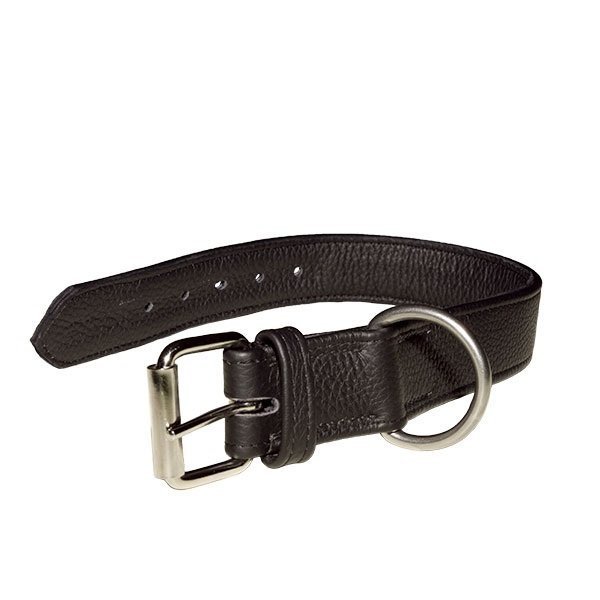 Julius K9 Öko Lederhalsband Bild 5