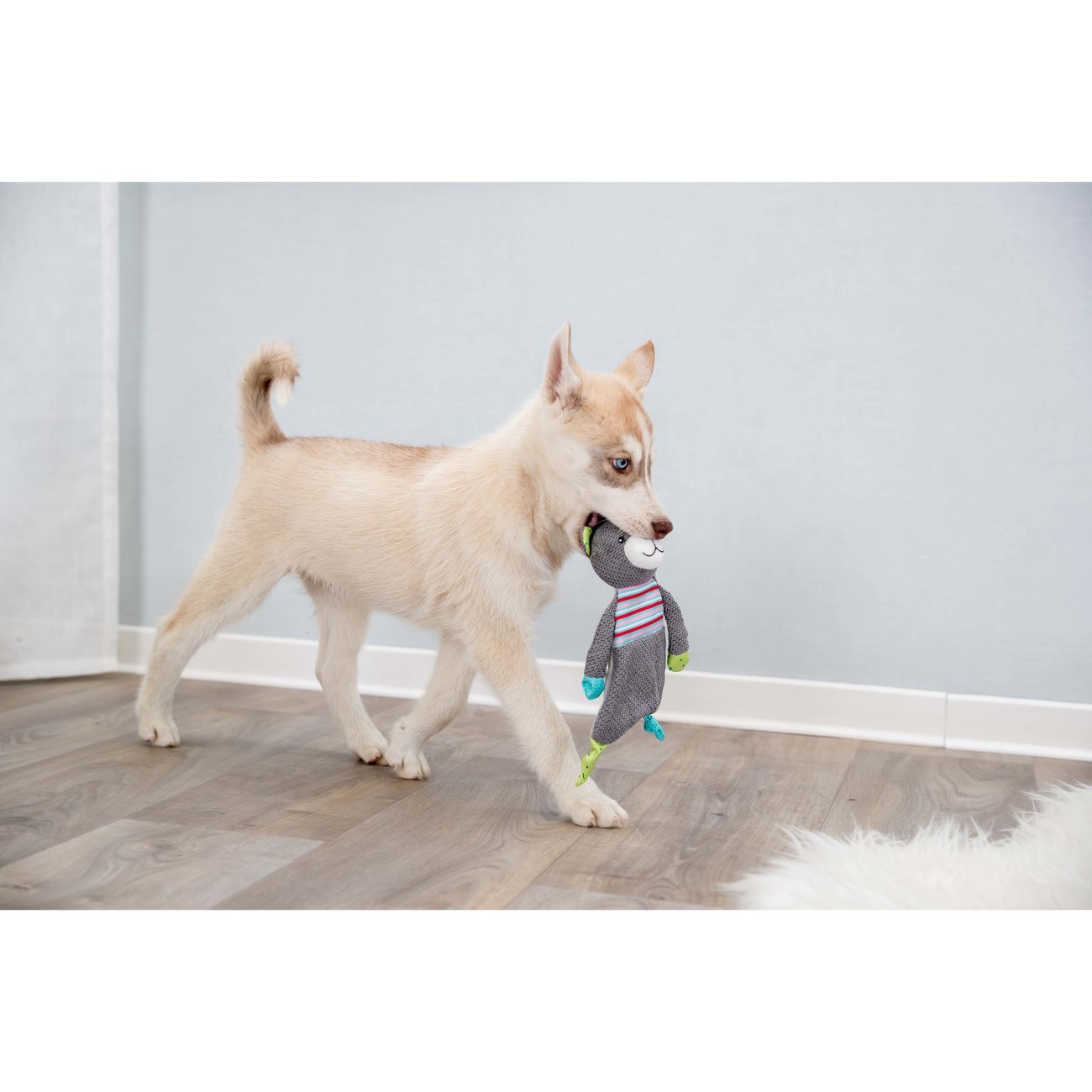 Junior Bär mit Stimme für Welpen Bild 2