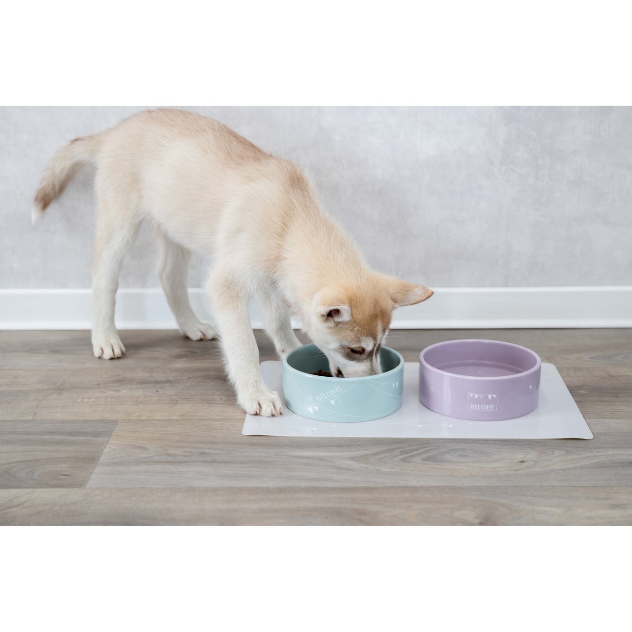 Junior Keramiknapf für Welpen Bild 2