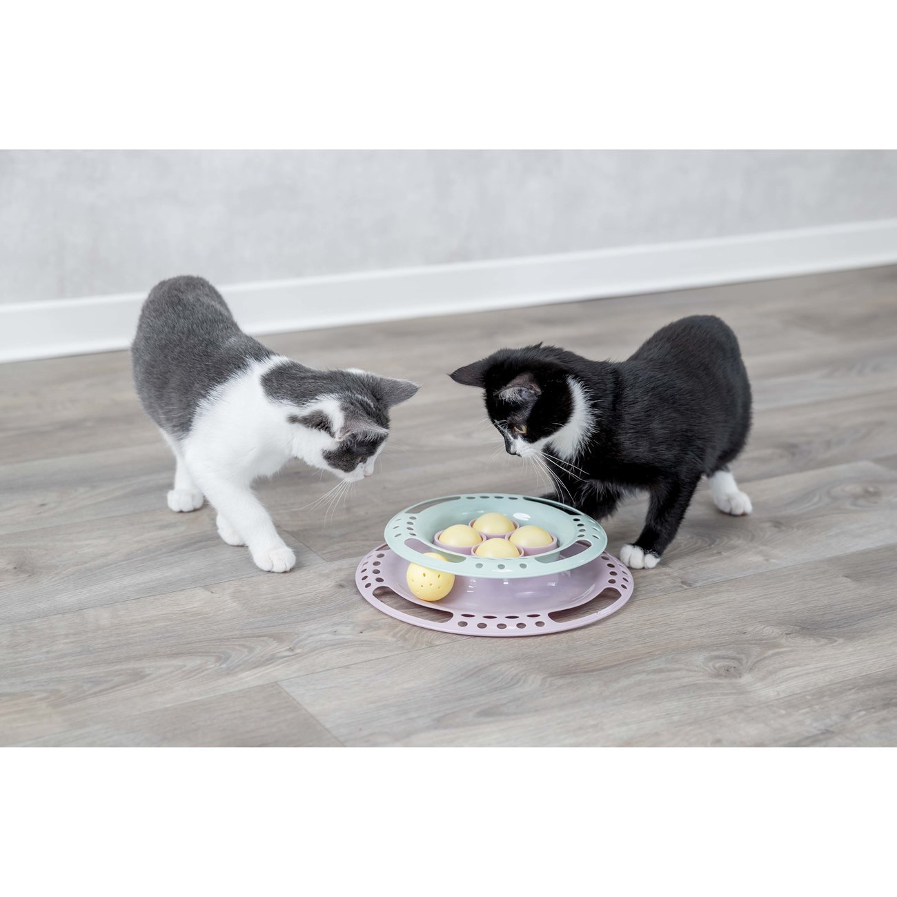 Junior Kitten Circle Katzenspielzeug Bild 3