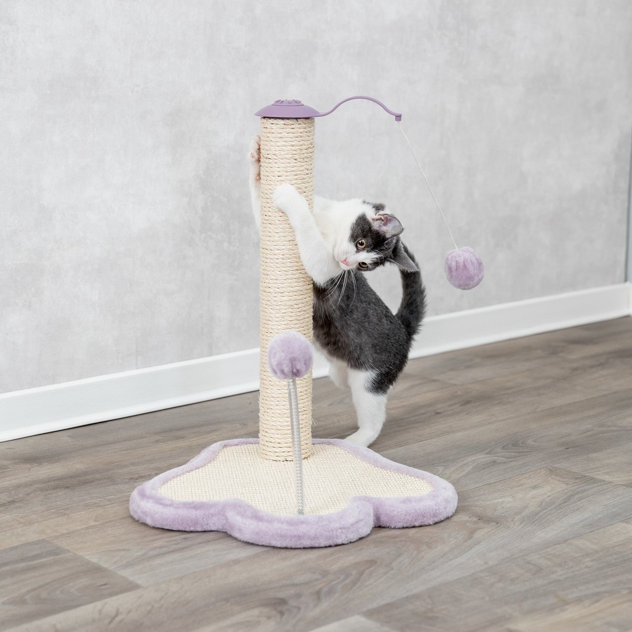 Junior Kratzpfote mit Stamm für Kitten Bild 2