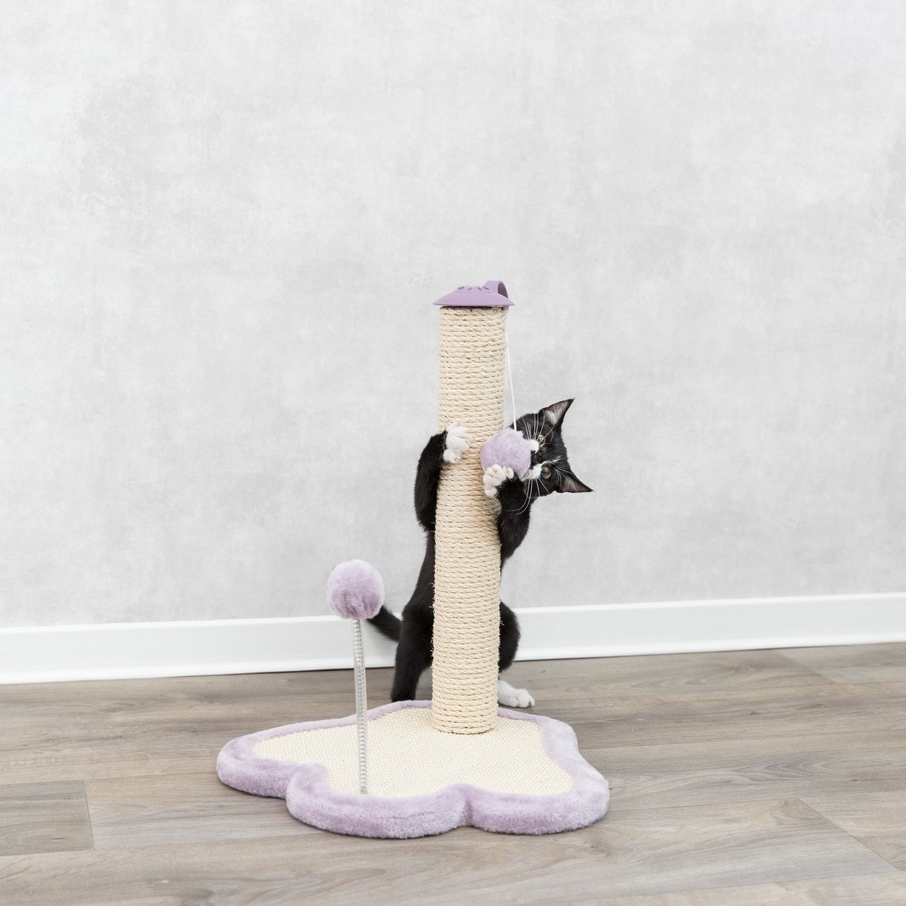 Junior Kratzpfote mit Stamm für Kitten Bild 5