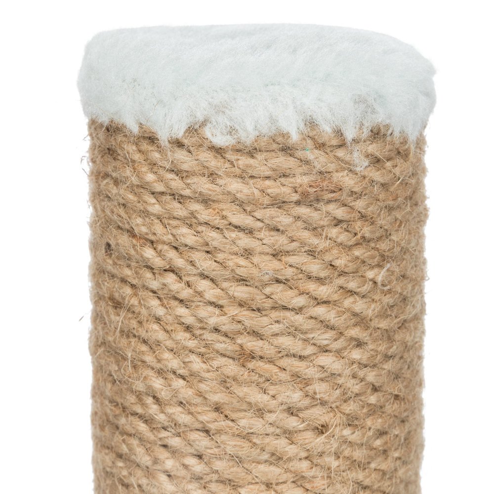 Junior Kratzstamm für Kitten Bild 3