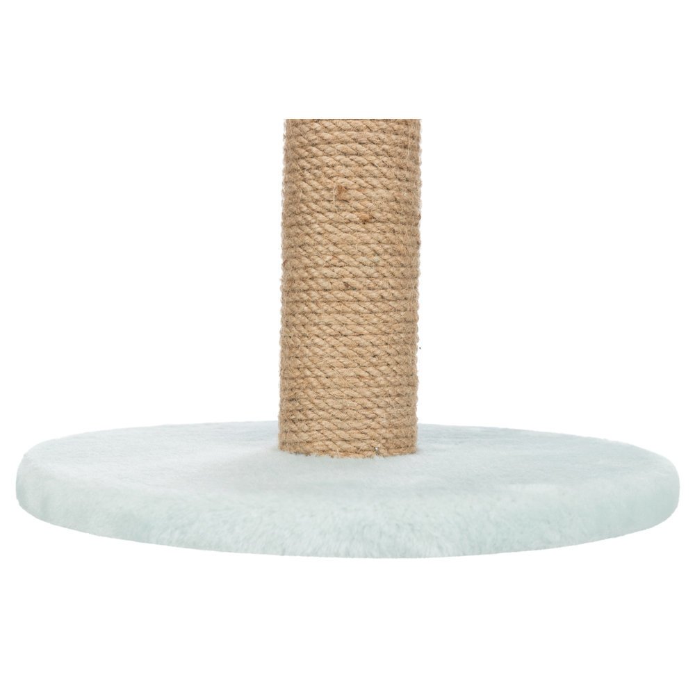 Junior Kratzstamm für Kitten Bild 4