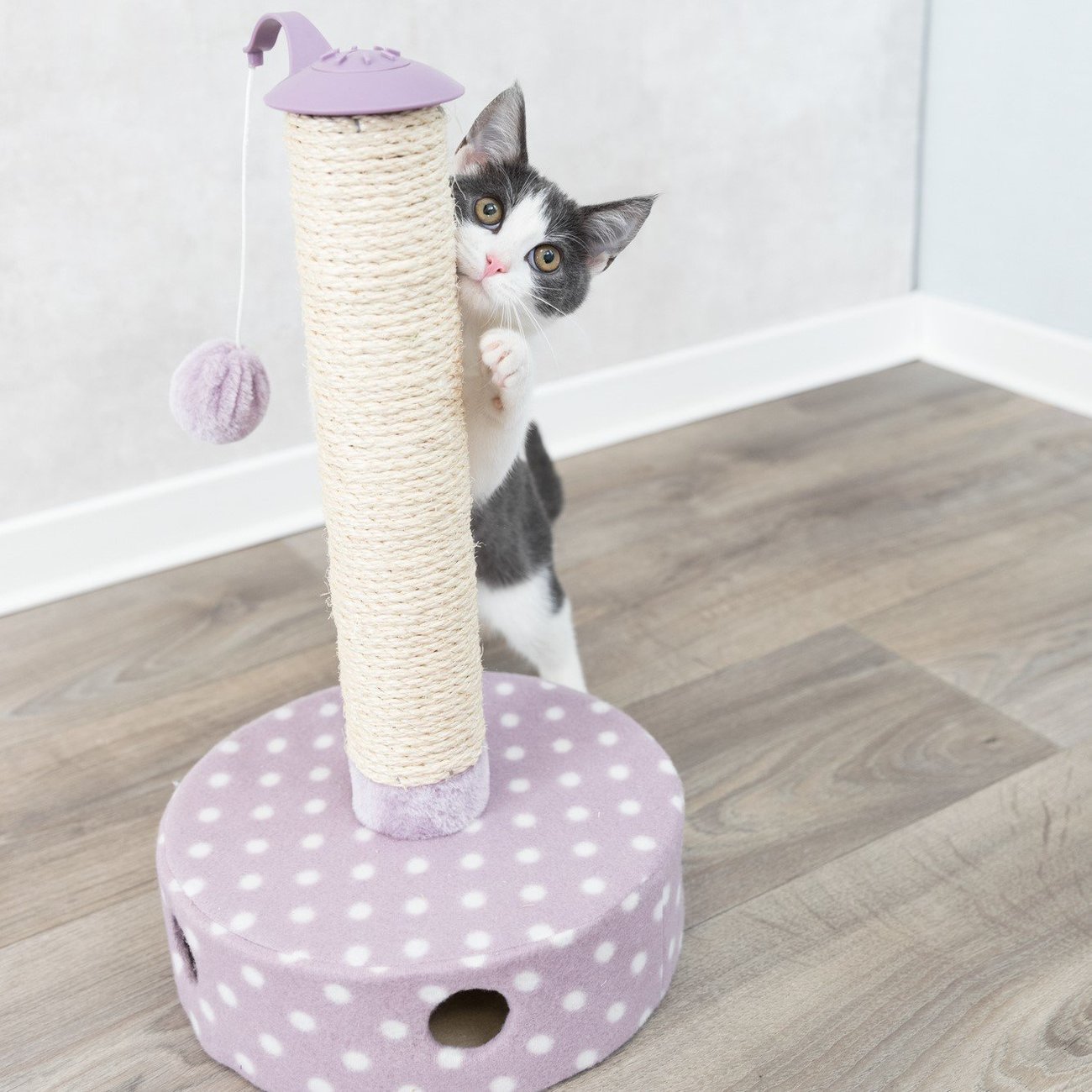 Junior Kratzstamm mit Spielzeug für Kitten Bild 9