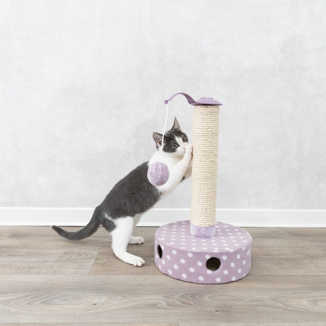 Junior Kratzstamm mit Spielzeug für Kitten Bild 2