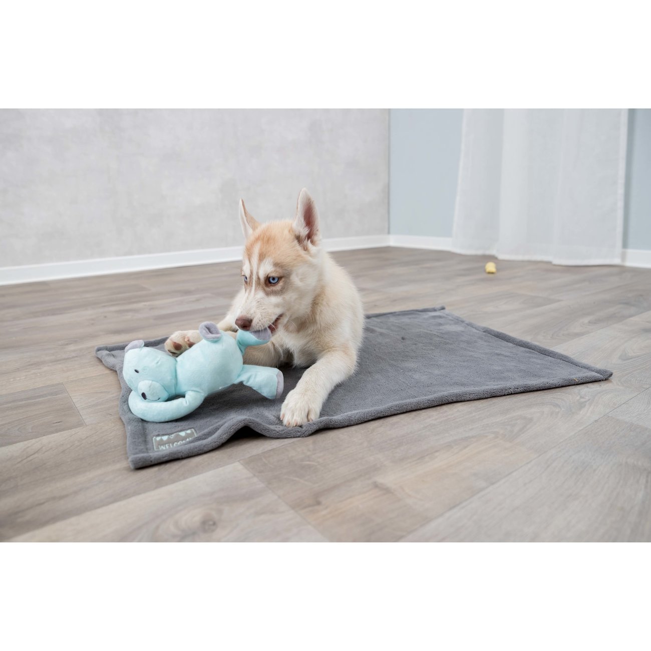 Junior Kuschel-Set für Welpen Bild 3