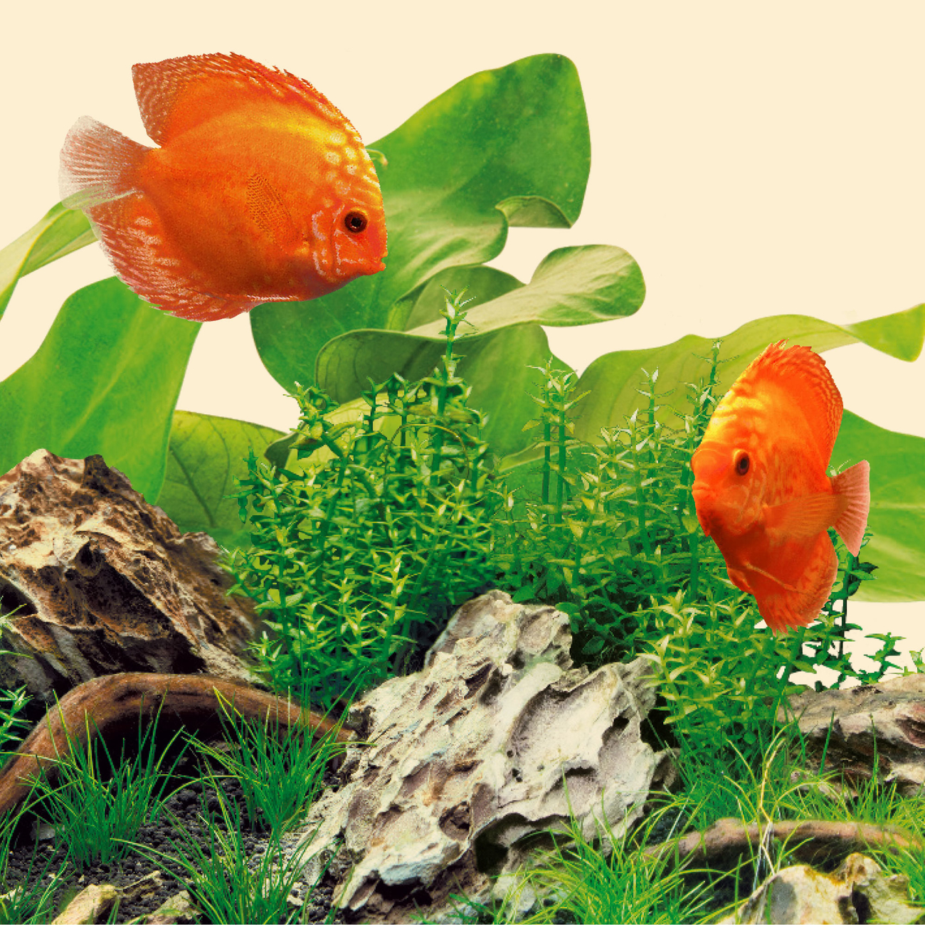 JUWEL Aquarium Nature LED Leuchte Bild 5