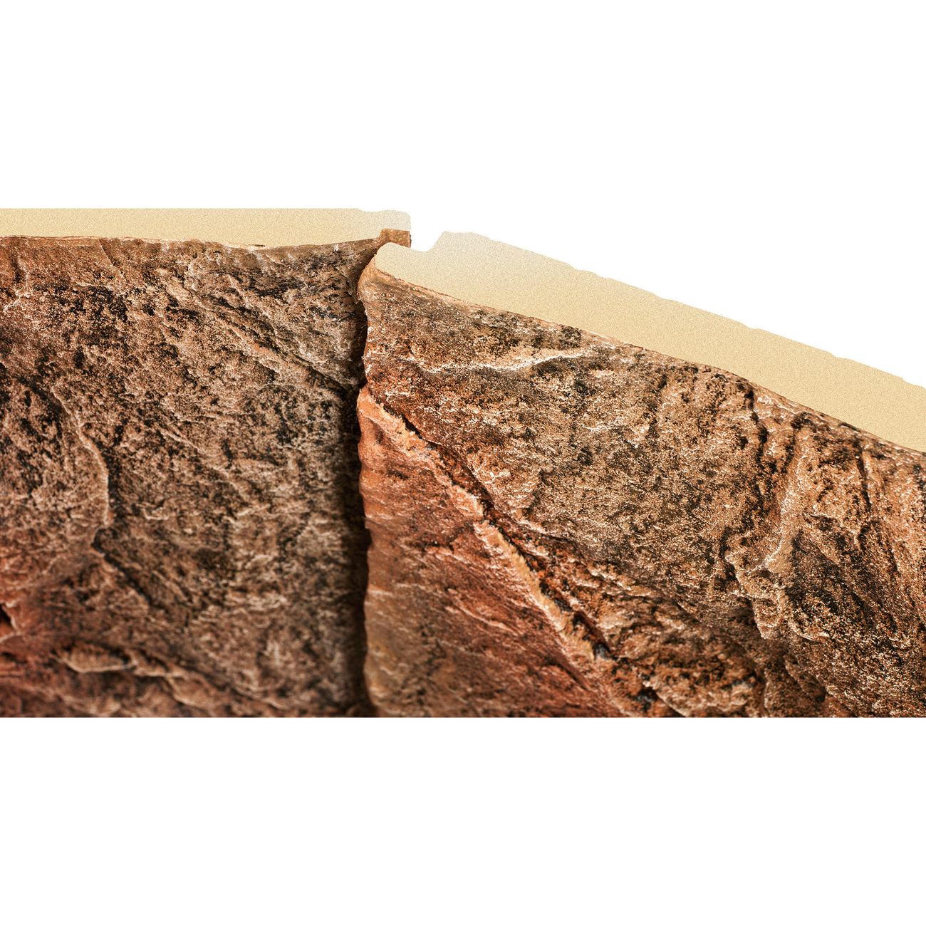 Juwel Aquarium Rückwand 3d Bild 6