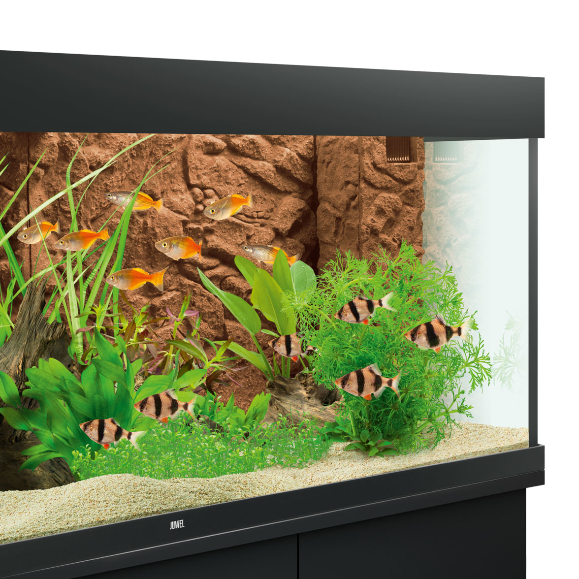 Juwel Aquarium Rückwand 3d Bild 14