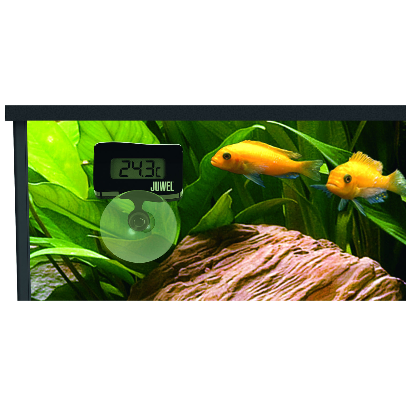 Juwel Digitalthermometer 2.0 für Aquarien Bild 3