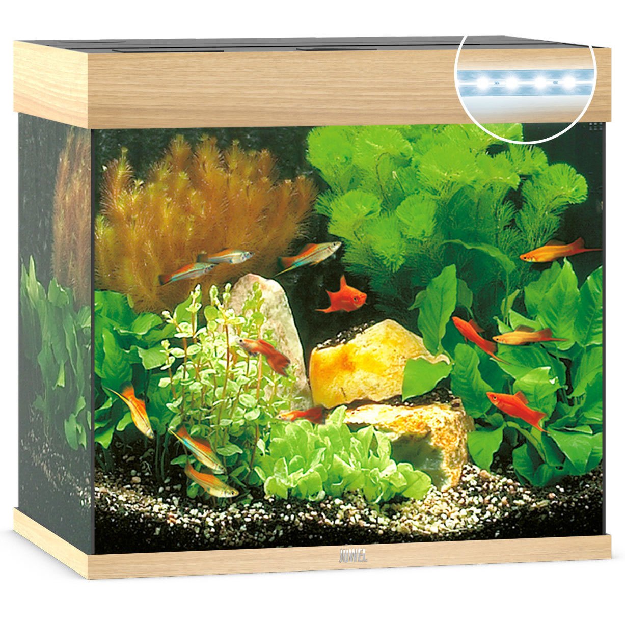JUWEL Lido 120 LED Aquarium Bild 4
