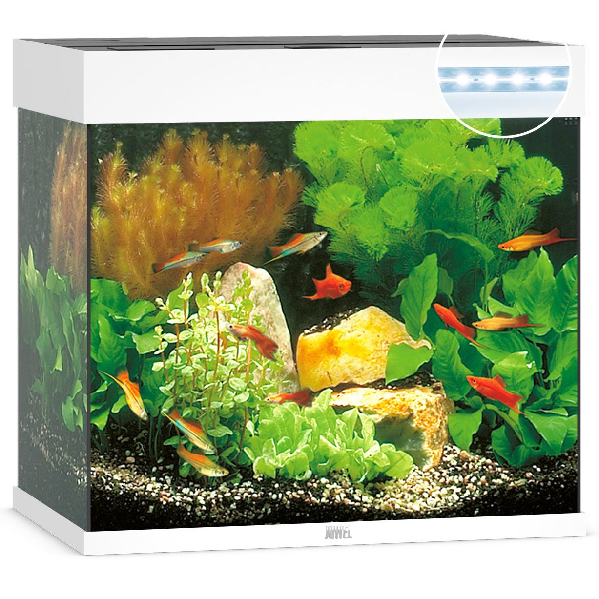 JUWEL Lido 120 LED Aquarium Bild 2