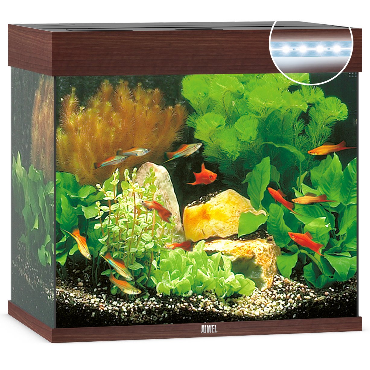JUWEL Lido 120 LED Aquarium Bild 3