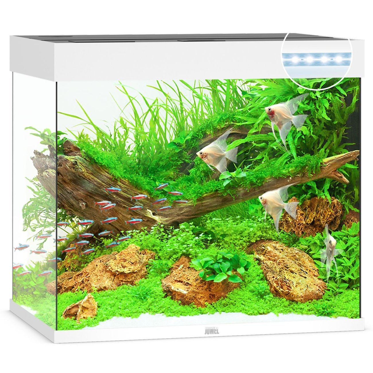 JUWEL Lido 200 LED Aquarium Bild 10