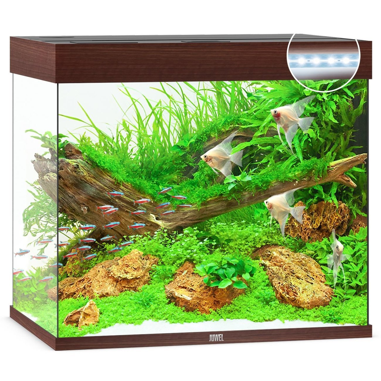 JUWEL Lido 200 LED Aquarium Bild 4