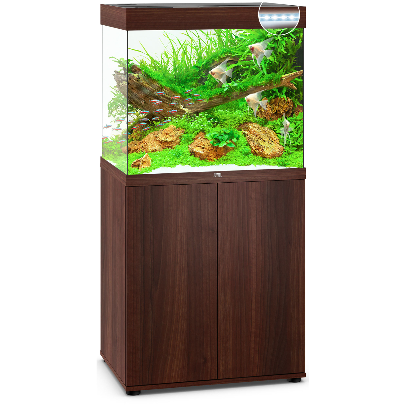 Juwel Lido 200 LED Aquarium mit Unterschrank Bild 11