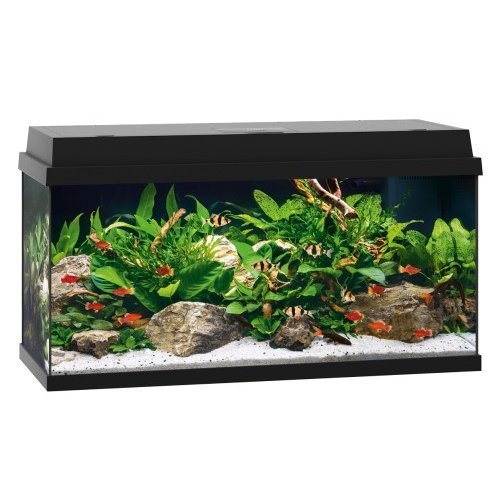 JUWEL PRIMO Aquarium Bild 13
