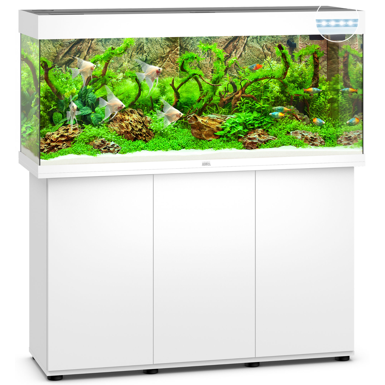 Juwel Rio 240 LED Aquarium mit Unterschrank Bild 9