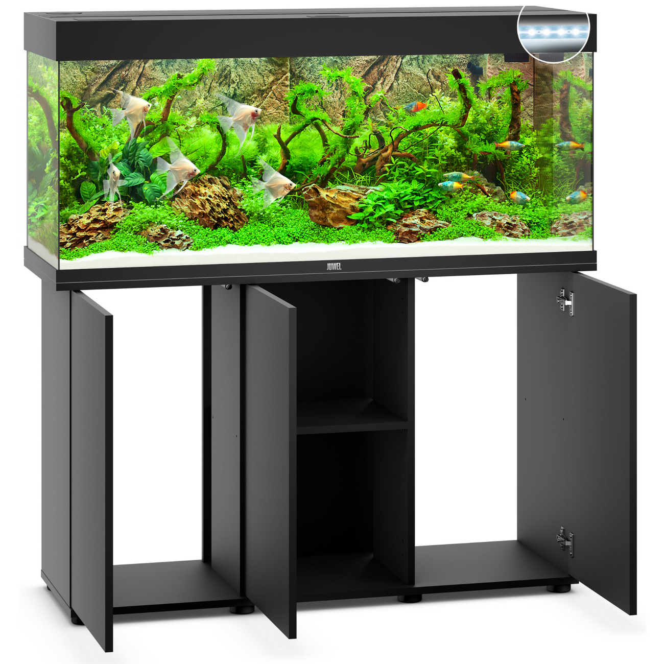 Juwel Rio 240 LED Aquarium mit Unterschrank Bild 12