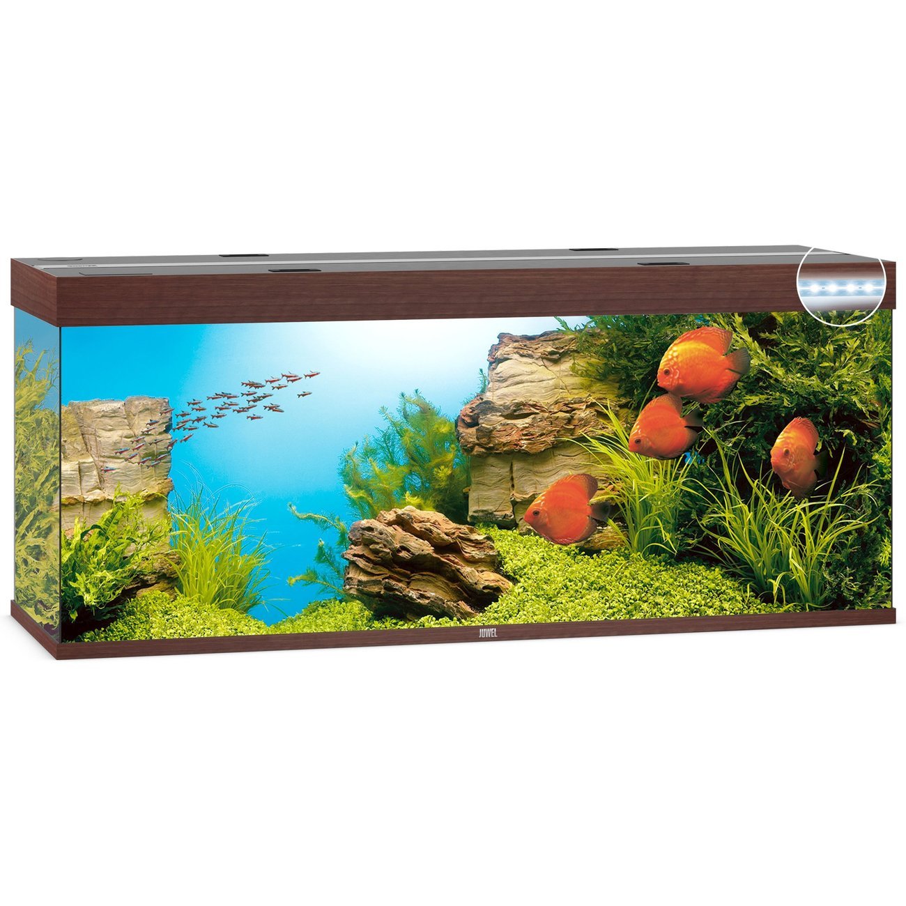 JUWEL Rio 450 LED Aquarium Bild 2
