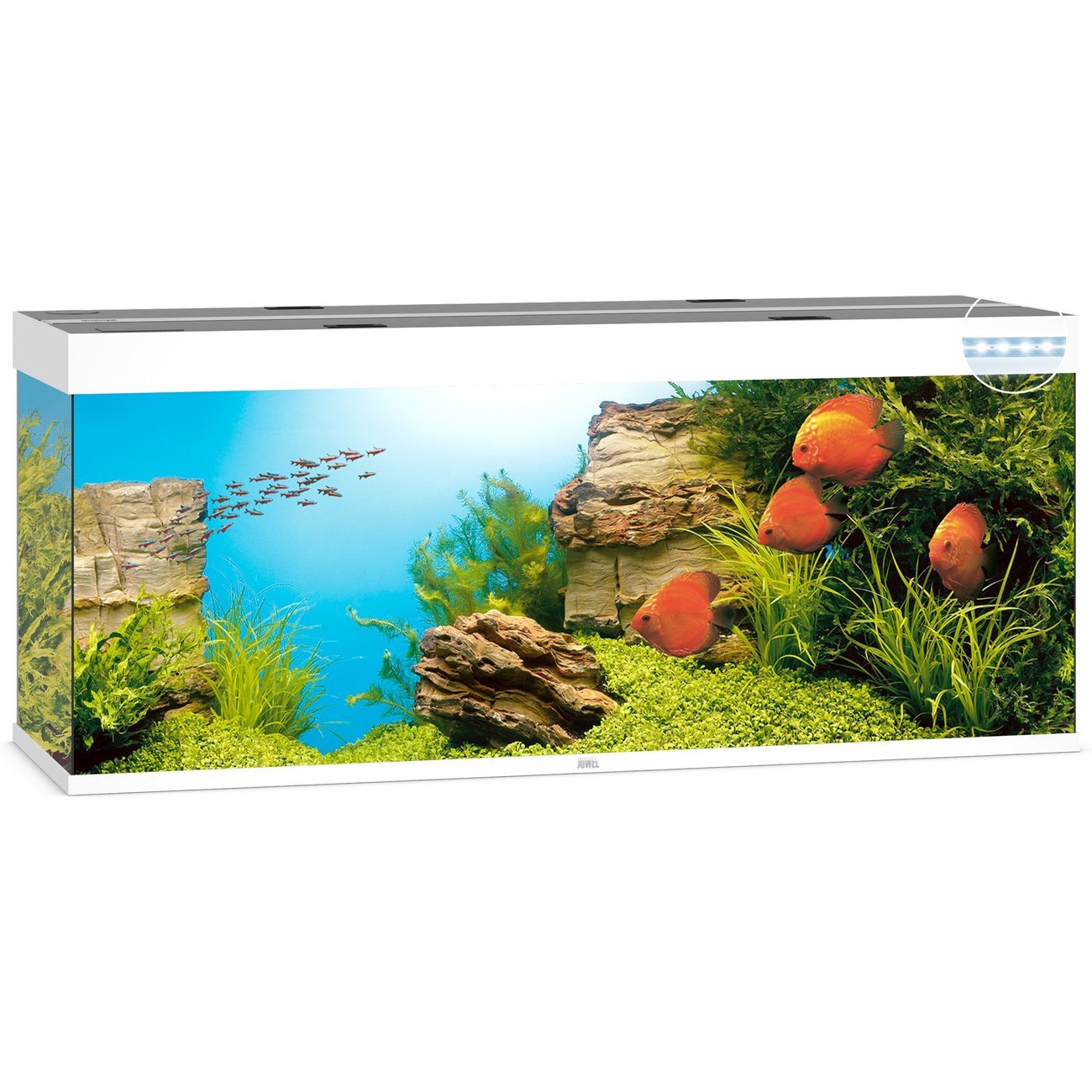 JUWEL Rio 450 LED Aquarium Bild 4