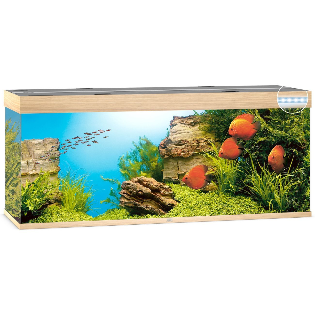 JUWEL Rio 450 LED Aquarium Bild 3
