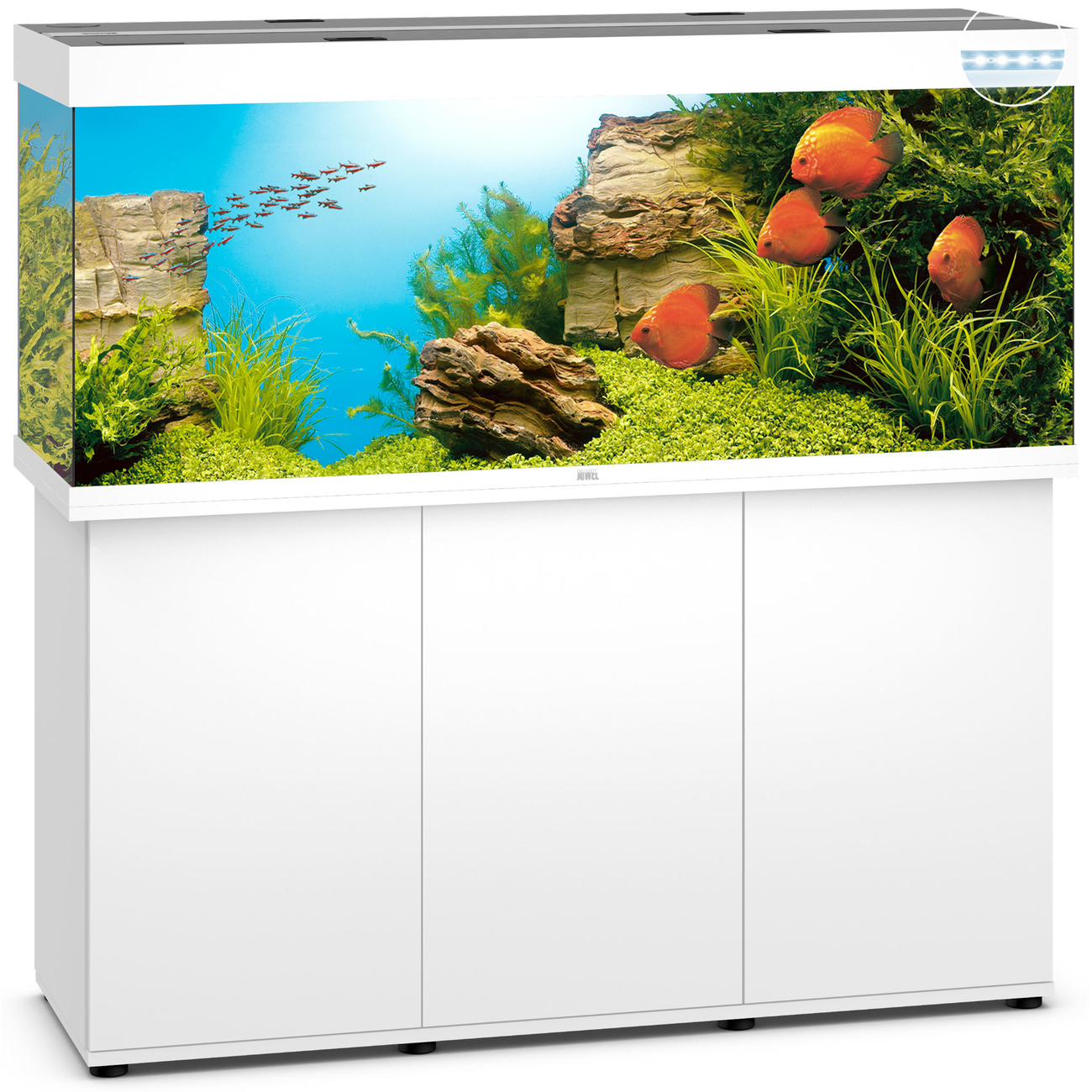 JUWEL Rio 450 LED Aquarium mit Unterschrank Bild 8