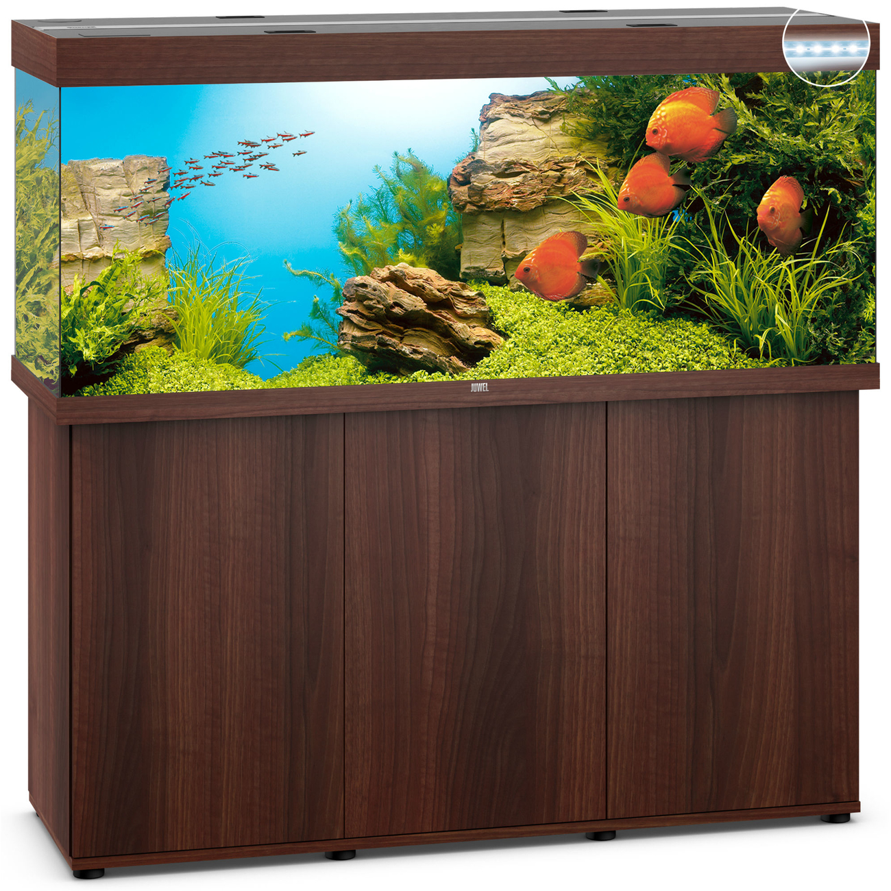 JUWEL Rio 450 LED Aquarium mit Unterschrank Bild 12