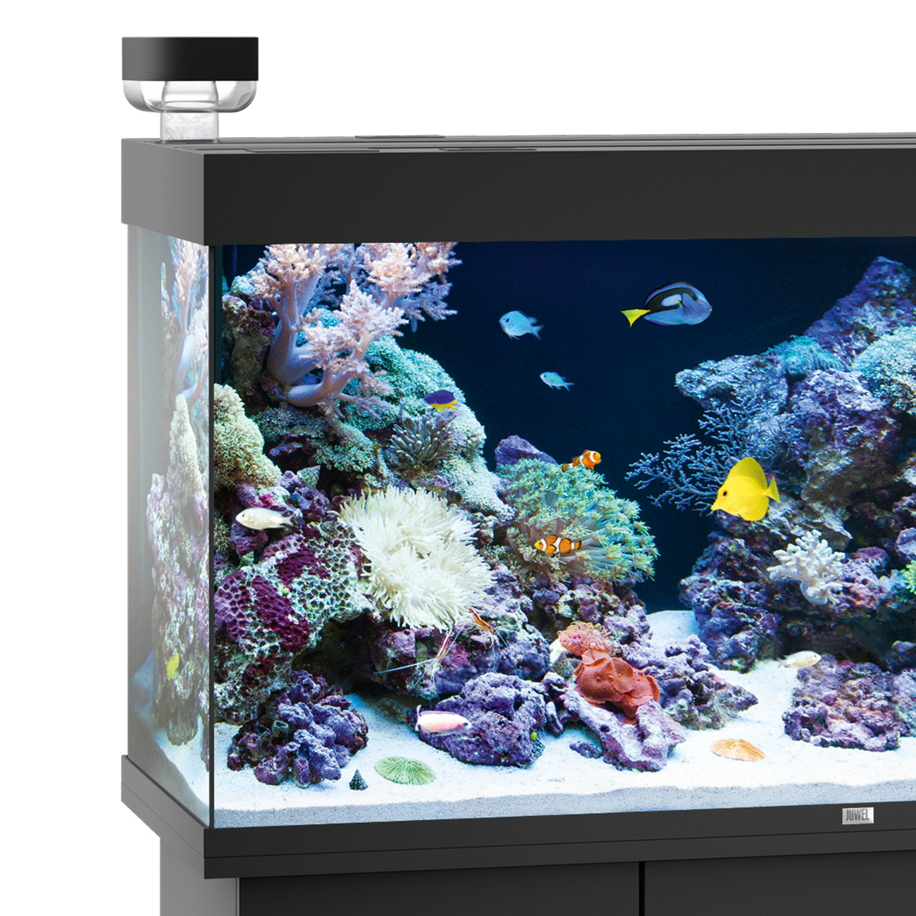 JUWEL SeaSkim Aquarium Skimmer von Juwel günstig bestellen tiierisch.de