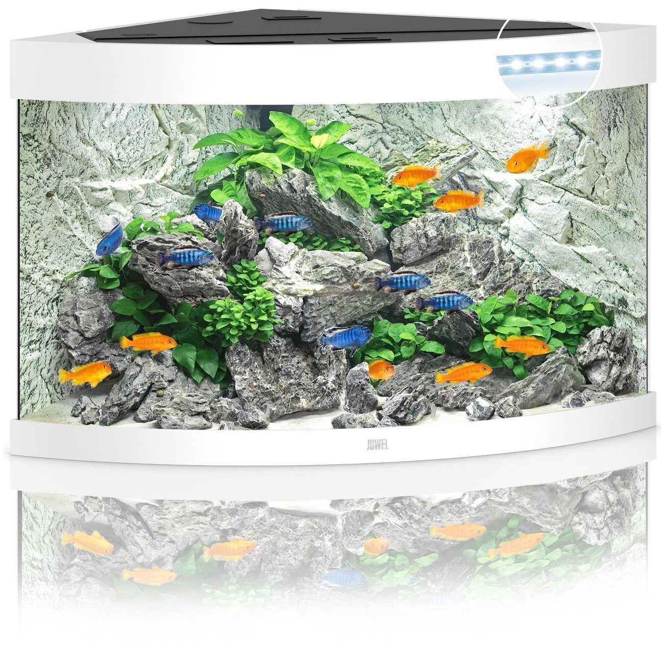 JUWEL Trigon 190 LED Aquarium Bild 4