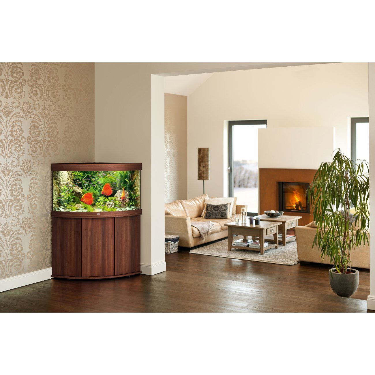 JUWEL Trigon 190 LED Aquarium Bild 6