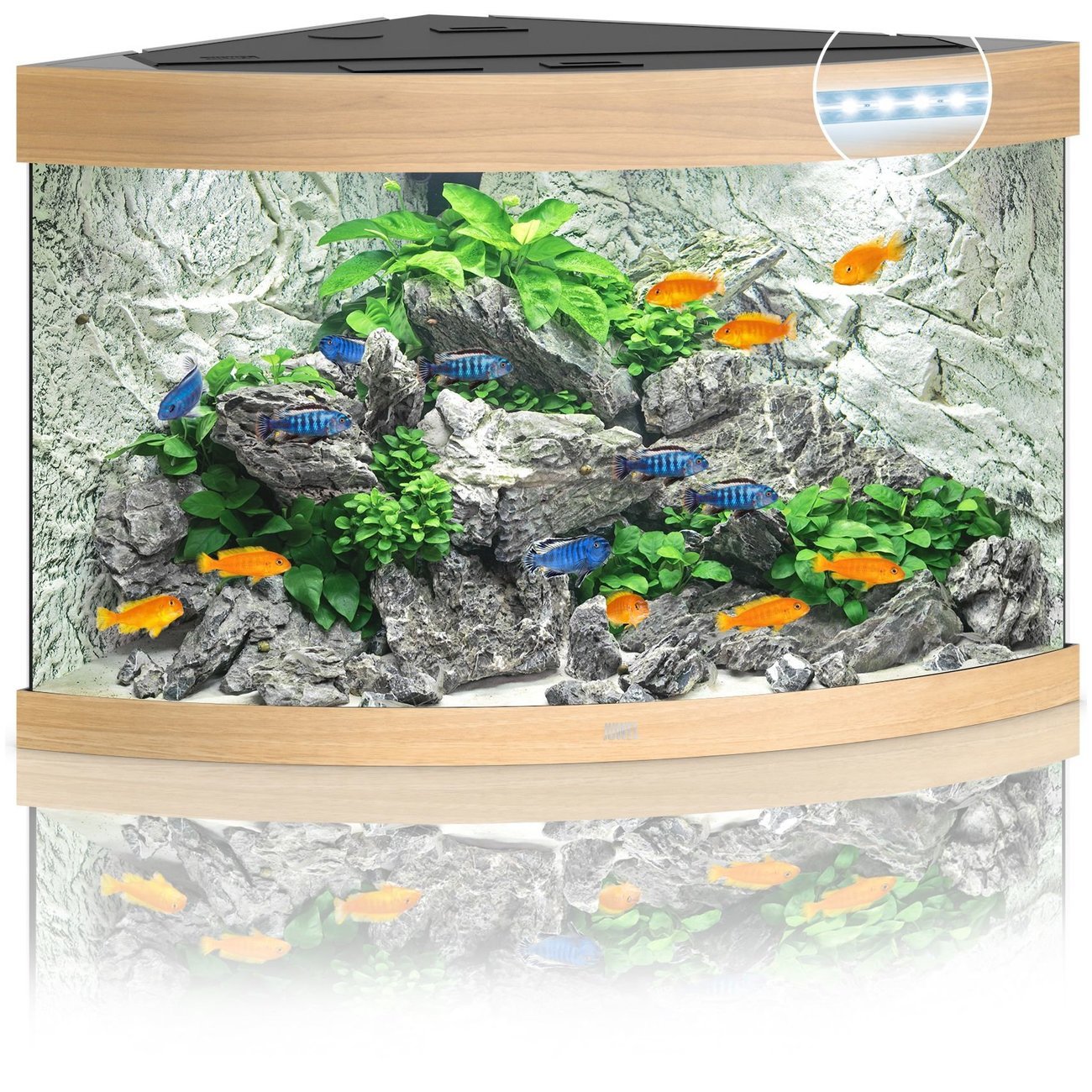 JUWEL Trigon 190 LED Aquarium Bild 3