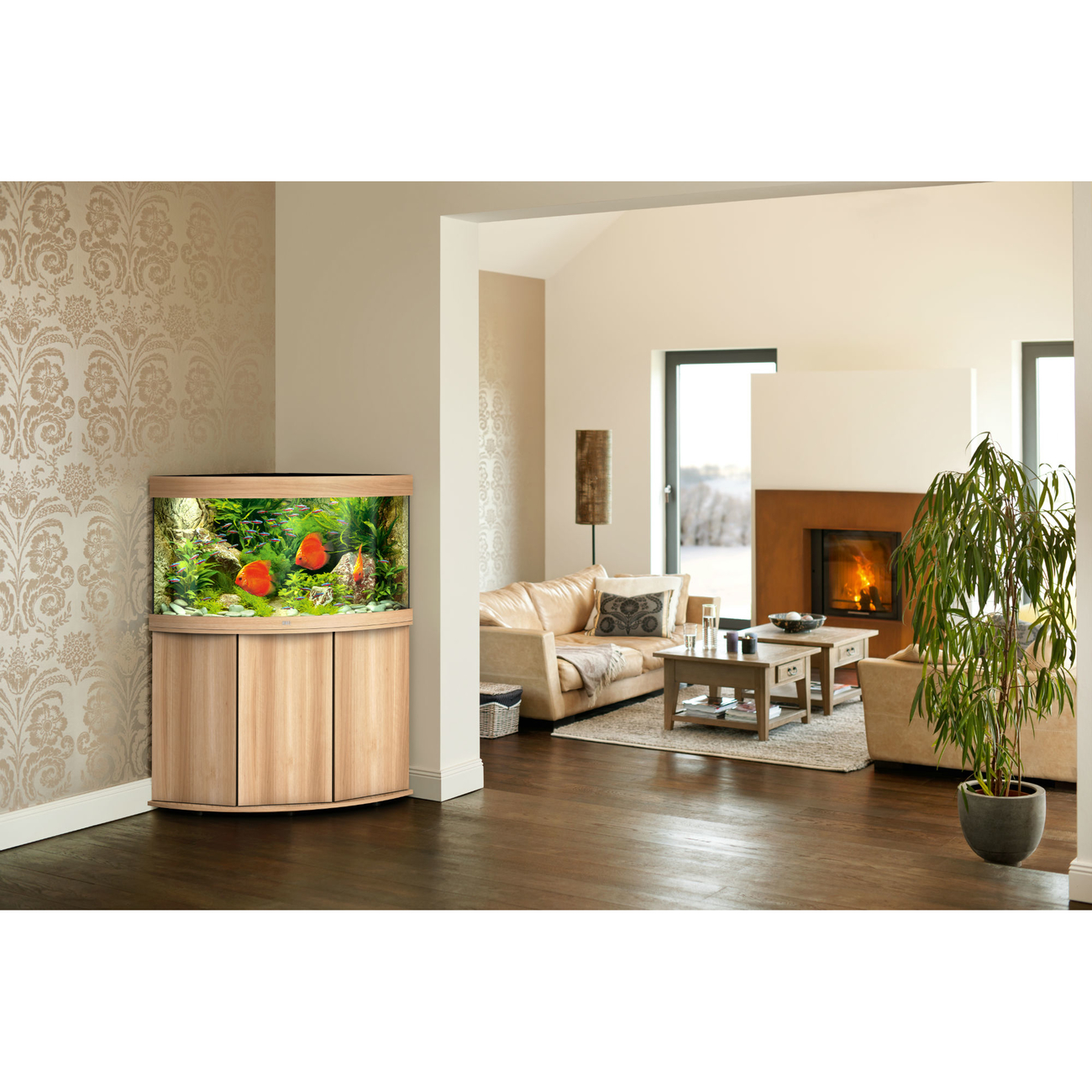 Juwel Trigon 190 LED Eck-Aquarium mit Unterschrank Bild 14