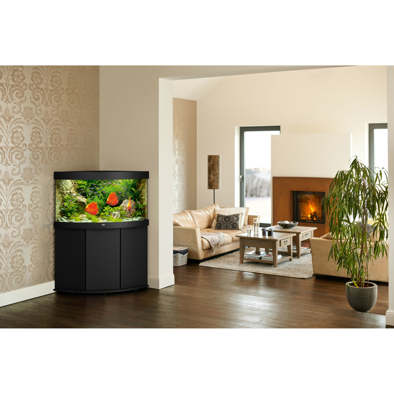 Juwel Trigon 190 LED Eck-Aquarium mit Unterschrank Bild 4