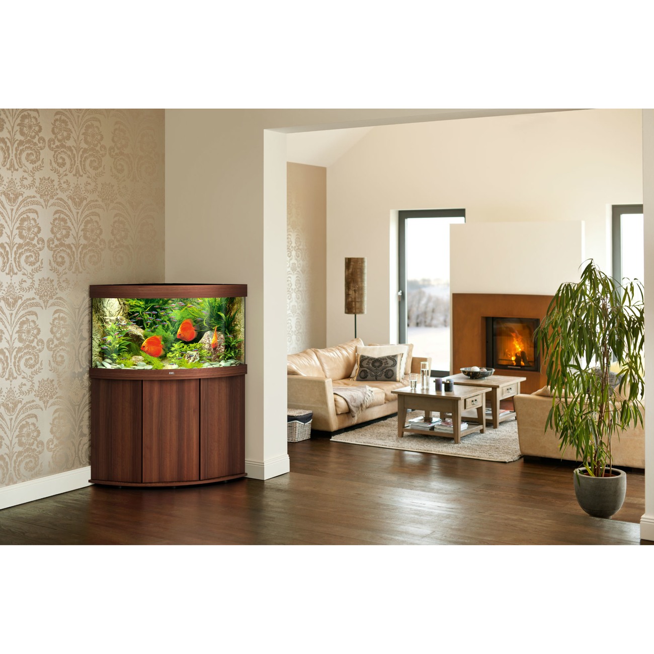 Juwel Trigon 190 LED Eck-Aquarium mit Unterschrank Bild 18