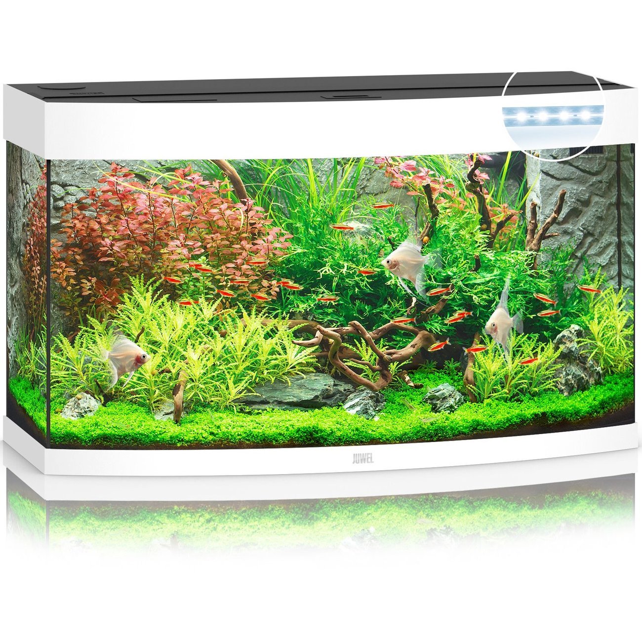 JUWEL Vision 180 LED Aquarium Bild 4