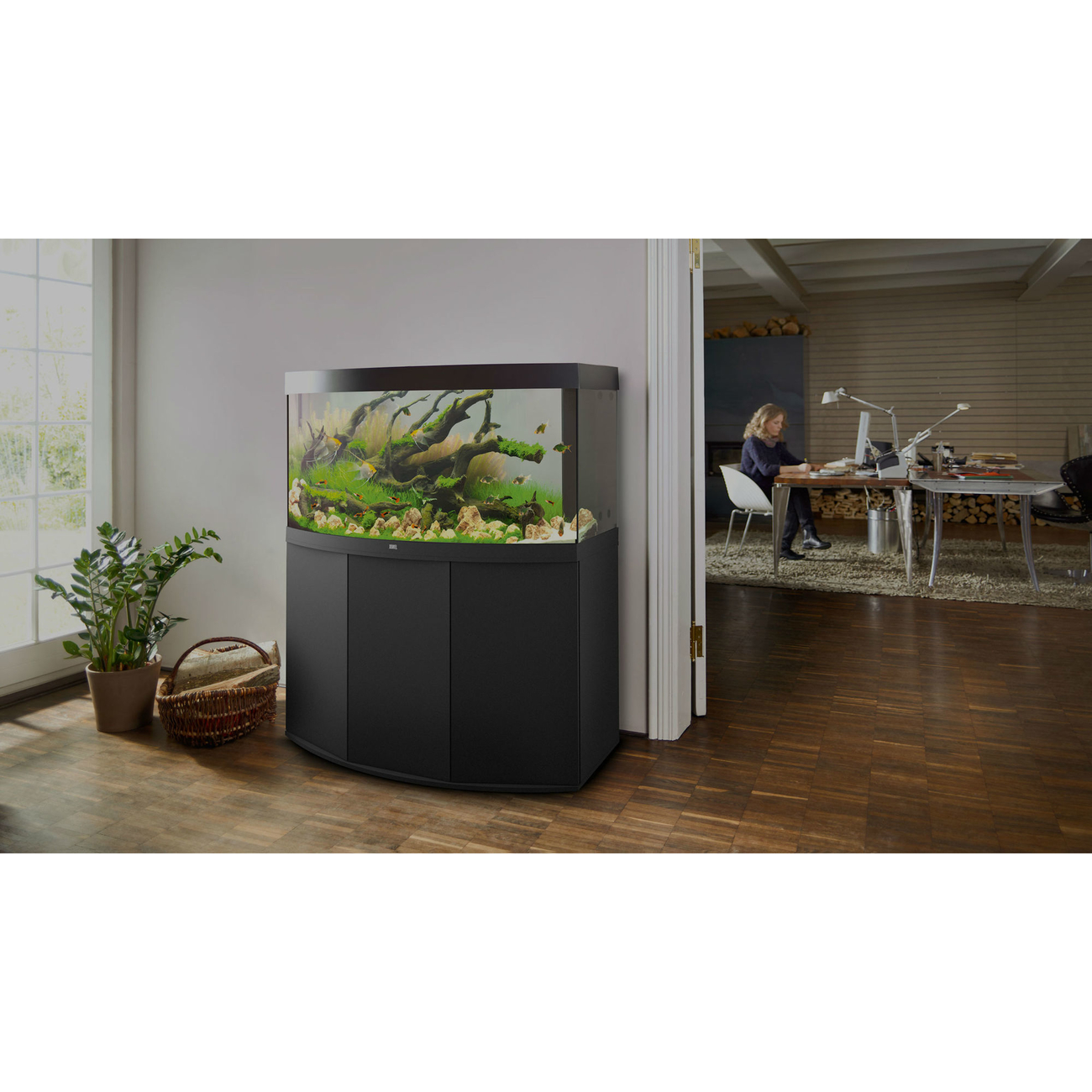 JUWEL Vision 180 LED Aquarium mit Unterschrank Bild 15