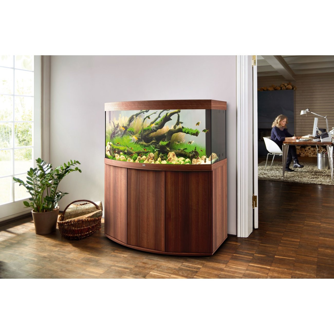 JUWEL Vision 260 LED Aquarium Bild 6