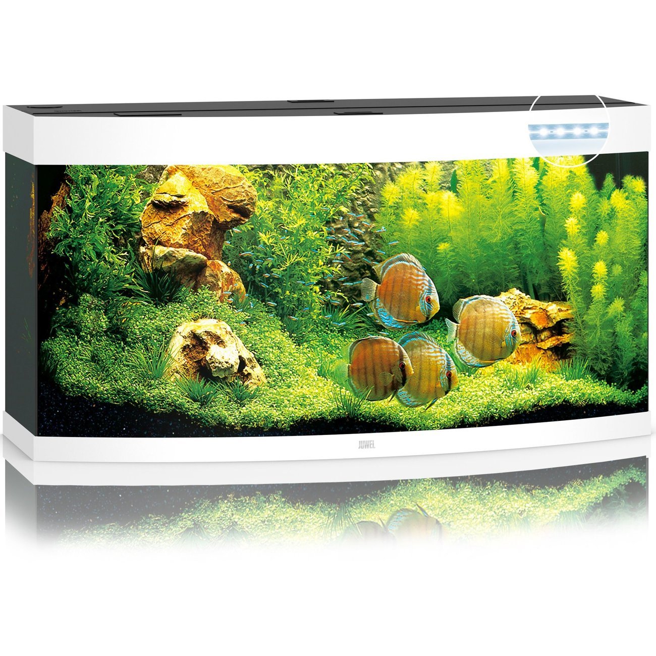 JUWEL Vision 260 LED Aquarium Bild 4