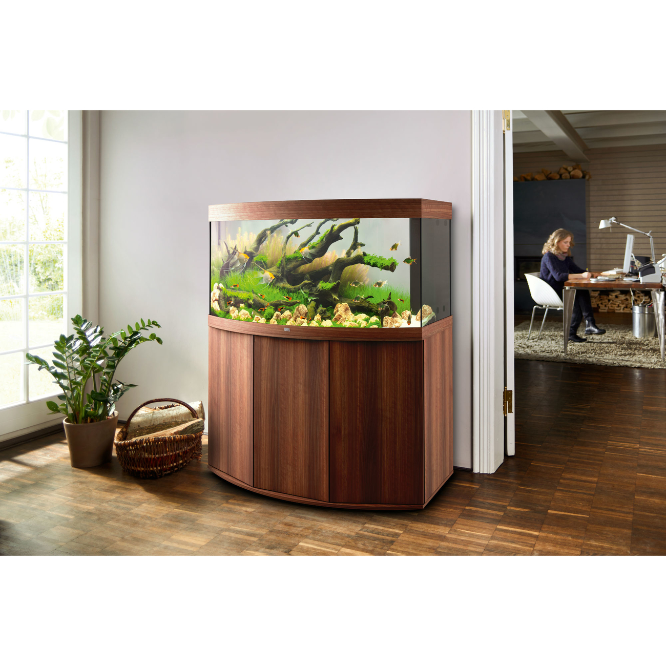 JUWEL Vision 260 LED Aquarium mit Unterschrank SBX Bild 15