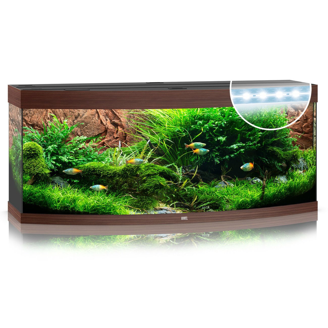 JUWEL Vision 450 LED Aquarium Bild 2